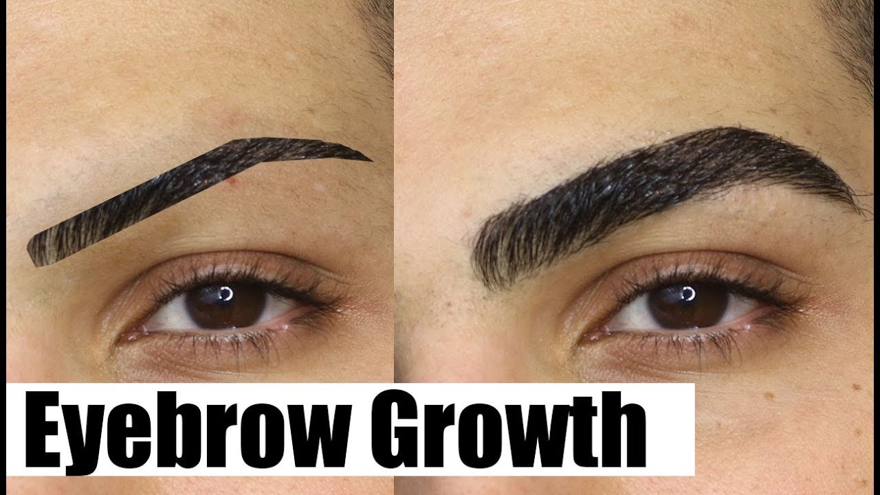 HOW TO GROW YOUR EYEBROWS OUT FAST! (THICK & NATURAL ...