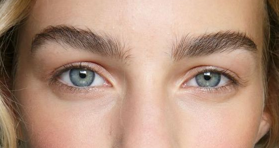Does Vaseline Help Eyebrows Grow? – Amalie Blog